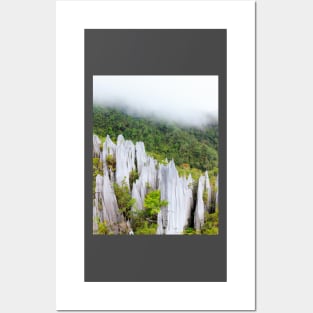 Limestone pinnacles at gunung mulu national park Posters and Art